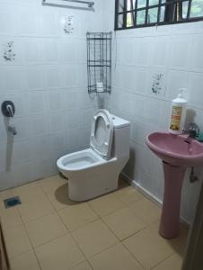 民都鲁Bintulu AirBnB Homestay的一间带卫生间和水槽的浴室