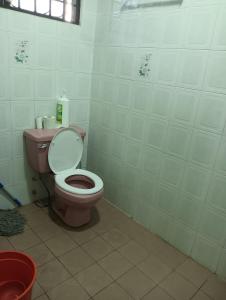 民都鲁Bintulu AirBnB Homestay的一间客房内的粉红色卫生间