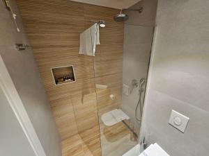 GračanicaHotel ETNA的带淋浴、卫生间和盥洗盆的浴室