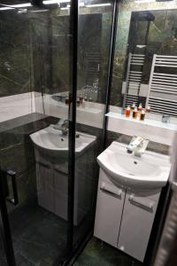 德丁基Hotel Raj的一间带水槽和淋浴的浴室