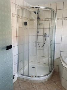 哥达Gästehaus Theo的浴室里设有玻璃门淋浴
