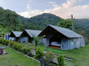 博卡拉Gypsy Hostel & Backpackers的两顶帐篷位于山地的田野中