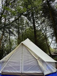 格兰瑟姆WoodLands Basic Bell Tent的坐在树前的白色帐篷