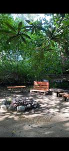 圣安娜CABAÑA en Eco Posada Tierra Fértil的一群长椅,在树木繁茂的公园里