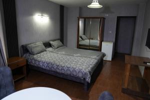 伊尔比德Omayah hotel irbid的一间小卧室,配有一张床和镜子
