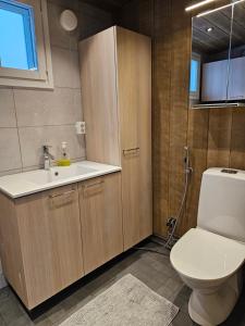 列维莱维尔托公寓的一间带卫生间和水槽的浴室