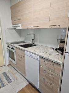 列维莱维尔托公寓的一个带水槽和洗碗机的厨房