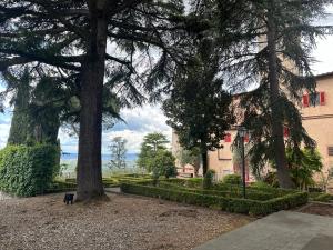 卡莱扎诺Monastero del 600 vista Firenze的公园里树旁的狗