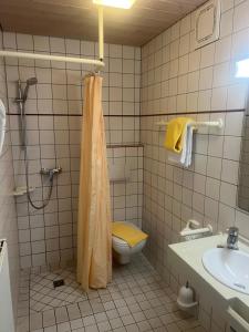 拉登堡Hotel Cronberger Hof的带淋浴、卫生间和盥洗盆的浴室