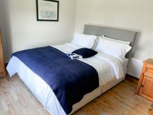 法伦福尔Lisheenbawn Farmhouse Farranfore的一张带蓝色毯子和白色枕头的大床
