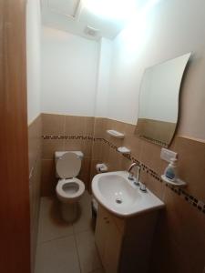 里奥格兰德Casa/Dpto en zona comercial的一间带卫生间、水槽和镜子的浴室