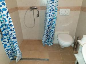 韦赖谢吉哈兹Veresegyház Relax Apartman的带淋浴、卫生间和浴帘的浴室
