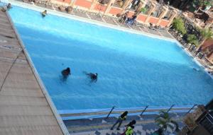 KisubiLake view property的两人在蓝色的大型游泳池游泳
