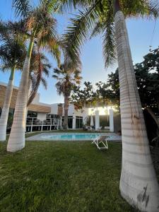 阿里卡Hotel Avenida en Arica的棕榈树和游泳池度假村