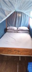 BesirRaja Ampat Blue Sea的帐篷内的一张床位,上面有两个枕头