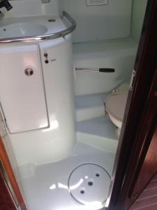 格罗斯岛Day Sailing, Sailing Experience and Houseboat的一间带卫生间和水槽的小浴室