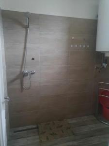 巴拉通雷勒Farkas Apartmanok的带淋浴、卫生间和淋浴的浴室