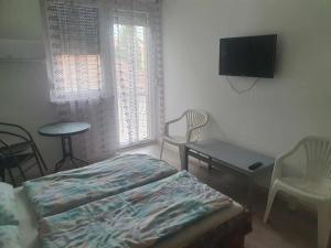 巴拉通雷勒Farkas Apartmanok的卧室配有一张床,墙上配有电视。