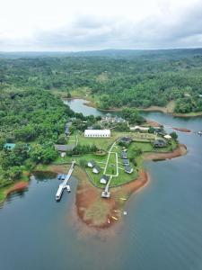 CavintiSofia's Lake Resort的水上岛上的飞机