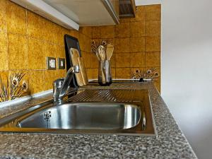 纳莱斯圣维吉尔霍夫公寓式酒店的厨房水槽配有水龙头和餐具