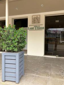 雷孔基斯塔HOTEL LOS TILOS RECONQUISTA的建筑前有两株盆栽植物的商店