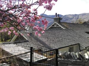 安布尔塞德4 Fir Garth的屋顶上有粉红色花的房屋