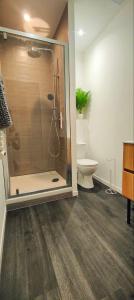 克莱蒙费朗Appartements à thème的带淋浴和卫生间的浴室