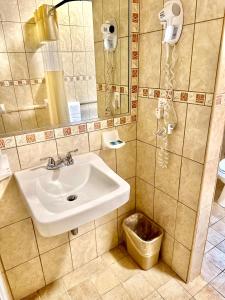 纽约圣詹姆斯酒店 的一间带水槽和镜子的浴室