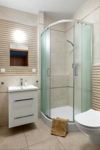 茨兹伊特纳Dom Wczasowy KAMELA的带淋浴、卫生间和盥洗盆的浴室