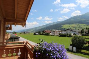 尼德恩西尔Alpen Chalets Zell am See的紫色花房的阳台