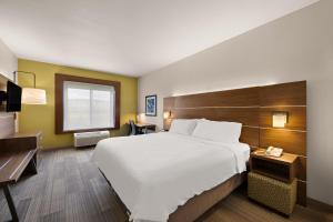 利蒙Holiday Inn Express Hotel & Suites Limon I-70/Exit 359, an IHG Hotel的酒店客房设有一张大床和一张书桌。