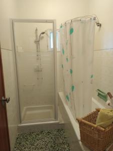 奎恩塔杜安乔Casa da Adega的浴室里设有玻璃门淋浴