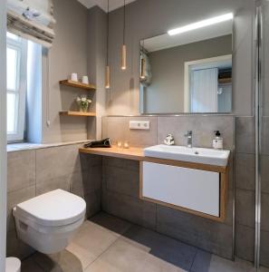 斯匹科罗格Meersalz的一间带卫生间、水槽和镜子的浴室