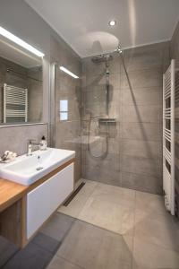 斯匹科罗格Meersalz的带淋浴、盥洗盆和淋浴的浴室