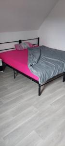 BobbauZu Hause auf Zeit bei Marion的一张床位,位于一间粉红色毯子的房间