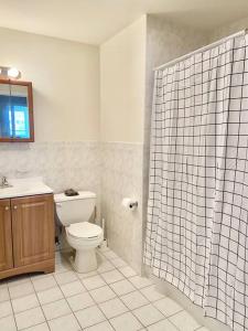 霍博肯105 Awesome 2BX2B With West Elm Sofa的一间带卫生间和淋浴帘的浴室