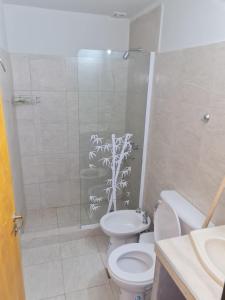 El EncónEstrella的带淋浴、卫生间和盥洗盆的浴室