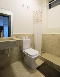 帕图布兰库Pousada Sol Pato Branco的浴室配有卫生间、盥洗盆和淋浴。