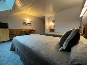 纳斯比纳勒城堡庄园酒店的酒店客房设有两张床和电视。
