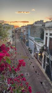 圣多明各Centrico ciudad colonial的享有粉红色鲜花的城市街道景色