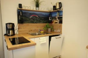 DriedorfWesterwald Apartment DRIE600的一间带水槽和冰箱的小厨房