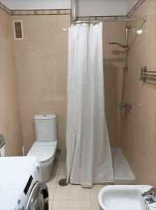 巴哈马尔Apartamento Bajamar Tenerife的带淋浴、卫生间和盥洗盆的浴室
