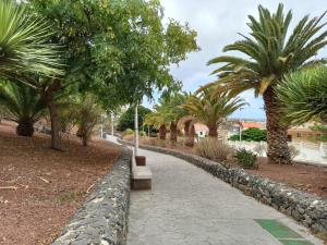 巴哈马尔Apartamento Bajamar Tenerife的公园里一条棕榈树成行的步道