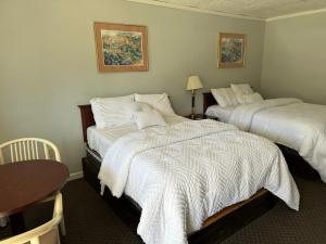 AlfredEconomy Inn的酒店客房设有两张床和一张桌子。