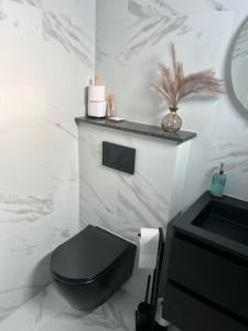 Velserbroek Cozy & Modern Tiny House的浴室设有黑色的卫生间和水槽。