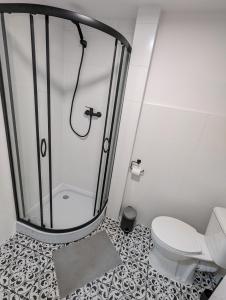 罗兹Kolejowy Zajazd 3的带淋浴和卫生间的浴室