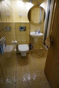 耶维克Apartament Żywiec的一间带卫生间和水槽的小浴室