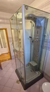 萨拉热窝Villa ARS的浴室内带玻璃淋浴间