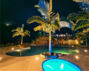 圣拉菲尔Eco Hotel Samaria , Aguas y Bosques的度假村内棕榈树游泳池