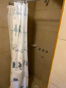 埃博森Camping El Bolson的带淋浴和浴帘的浴室